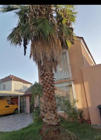 CASA LAMPA