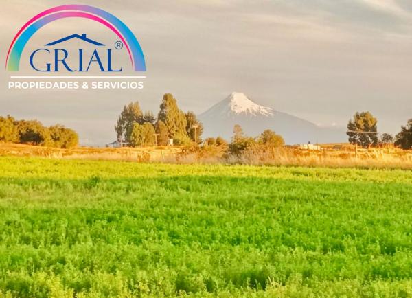 TERRENO EN VENTA EN PUYEHUE