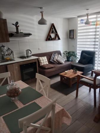 ARRIENDO DPTO AMOBLADO CON ESTACIONAMIENTO 