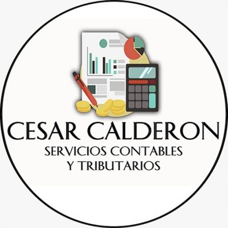 SERVICIOS CONTABLES Y TRIBUTARIOS ? COQUIMBO 