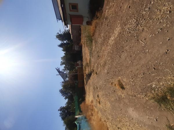 ARRIENDO TENENO CON CASA