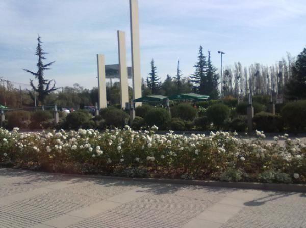 SEPULTURA EL PRADO