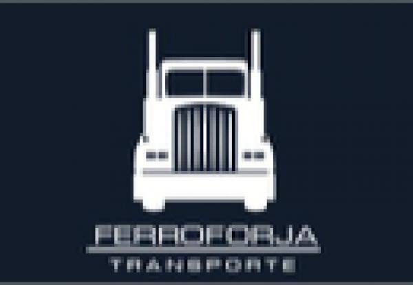 CONDUCTOR CAMION RAMPLA