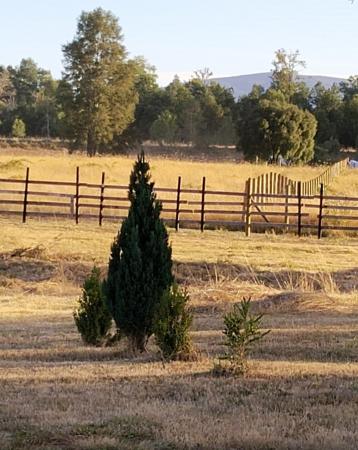 SE VENDE CASA EN VILLARRICA 