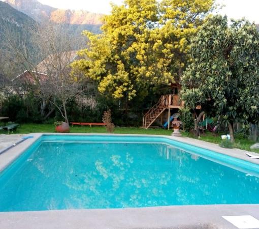 OLMUÉ VENDO LINDA CASA QUINTA CON LOCAL COMERCIAL