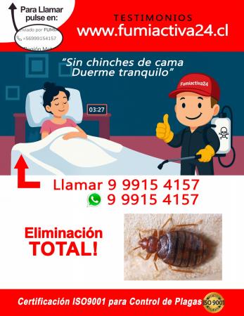ELIMINAR CHINCHES EN SANTIAGO