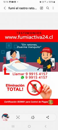 STOP RATONES/TESTIMONIOS FUMIACTIVA24-