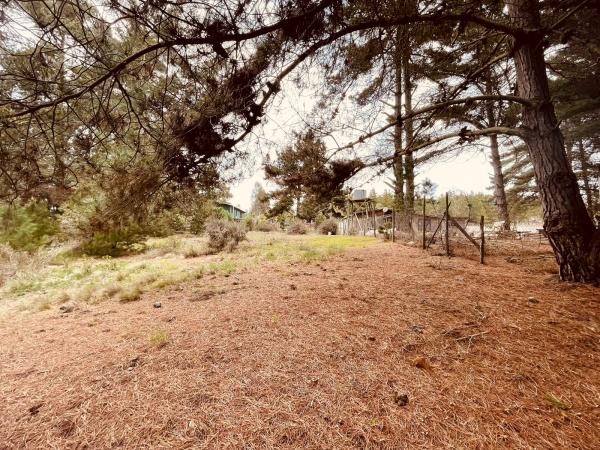 TERRENO PARA PROYECTO DE LOTEO EN EL PUQUIO,