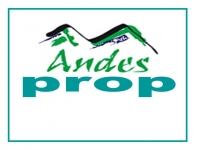 ANDES PROPIEDADES