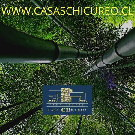 INMOBILIARIA CASAS CHICUREO SPA
