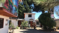 ARRIENDO CABAÑAS Y DEPTO ALGARROBO