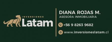  DIANA ASESOR DE INVERSIONES LATAM 